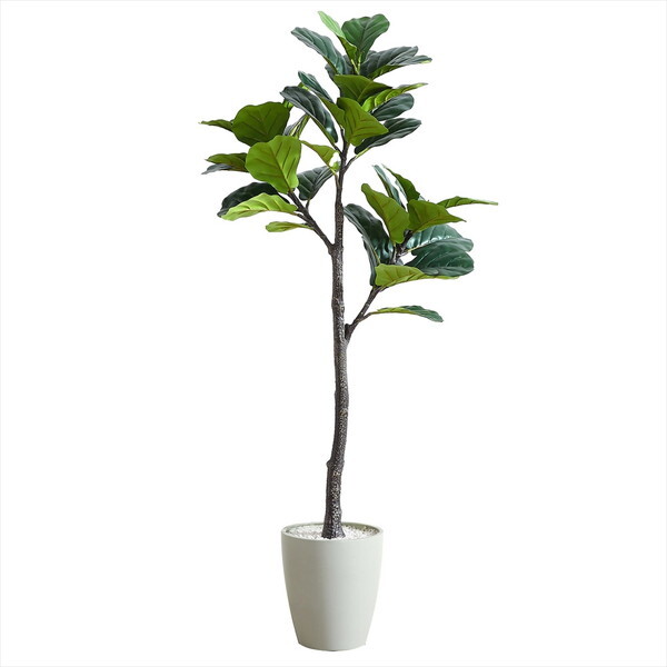 A[oʏ tFCNO[ tBJXE[^ 1500mm VAR-150IV AC{[