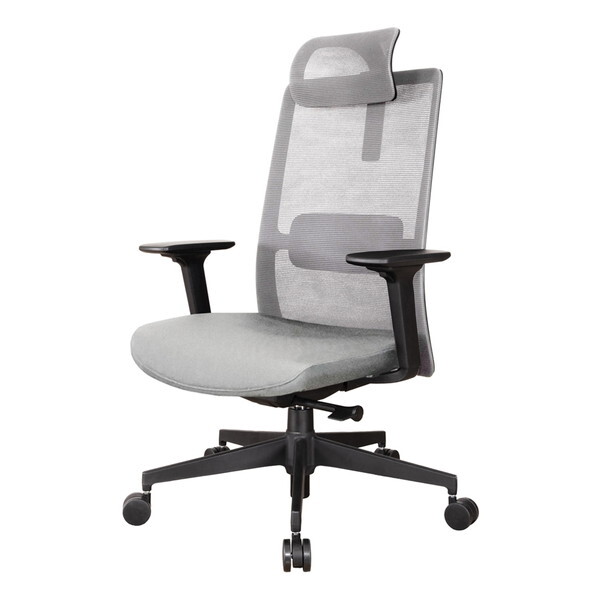 }gY ARBOL Ag GAV[g`FA BK/LGY