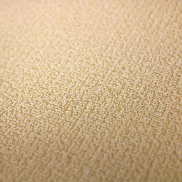 ���a�O���r�A �t���[�X�ǎ� FWS-02 �x�[�W��