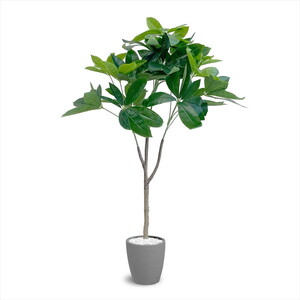 造花・人工観葉植物