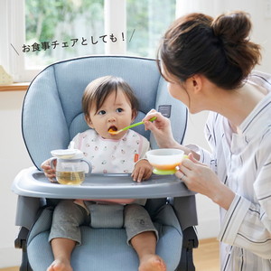Combi コンビ ホワイトレーベル ネムリラ AUTO SWING BEDi Long