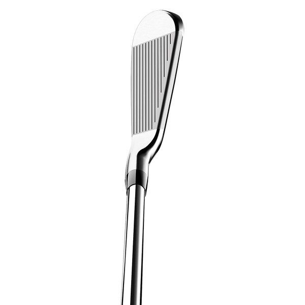 日本正規品】 タイトリスト T200 アイアン単品 2021年モデル N.S PRO