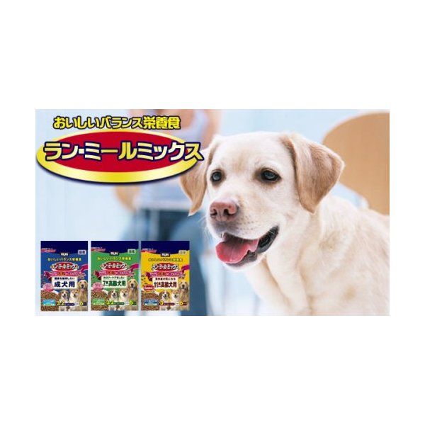 日清ペットフード ランミールミックス大粒11歳高齢犬用 3Kg | 激安の新品・型落ち・アウトレット 家電 通販 XPRICE - エクスプライス  (旧 PREMOA - プレモア)