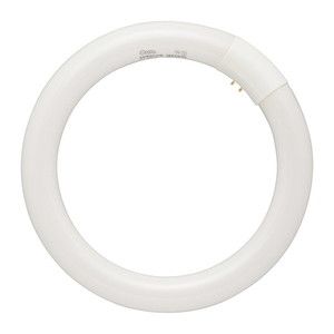 白熱電球・蛍光灯