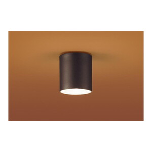 シーリングライト