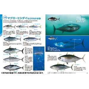 Gakken 魚 新版 | 激安の新品・型落ち・アウトレット 家電 通販