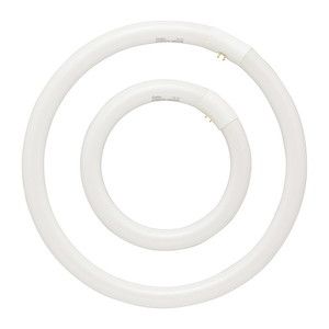 白熱電球・蛍光灯