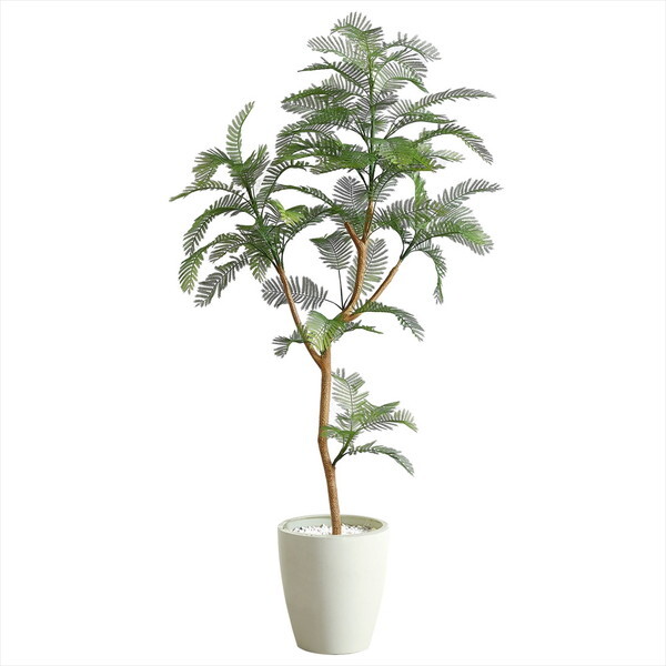 A[oʏ tFCNO[ Go[tbV 1600mm EVE-160IV AC{[