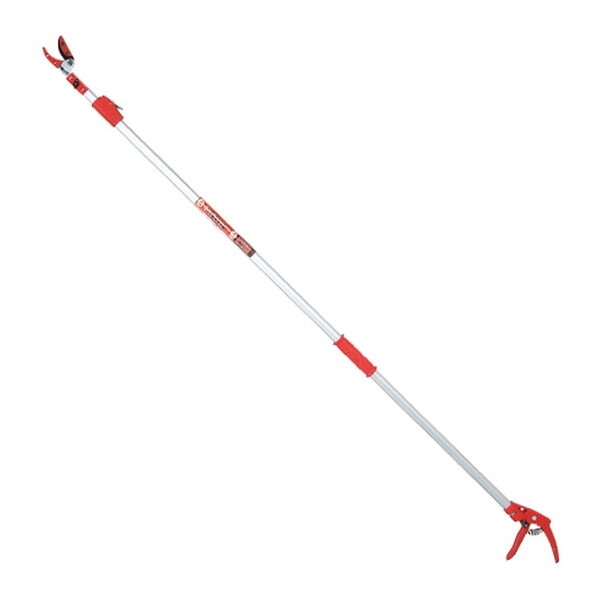 E-Value Lk}(t) EGLP-1