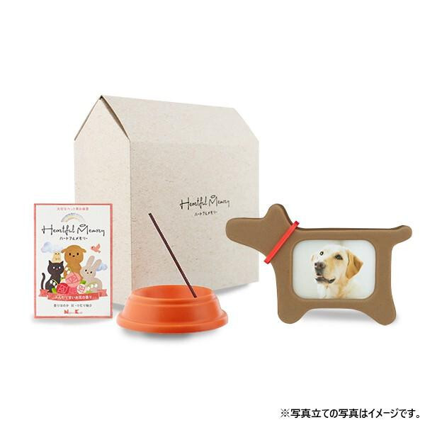 { n[gt[Zbg GWFEhbO 89532