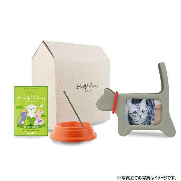 { n[gt[Zbg GWFELbg 89533