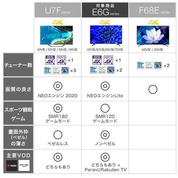 Hisense 65E6G [65V型 地上・BS・CSデジタル 4K内蔵 液晶テレビ 