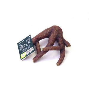 水槽・アクアリウム