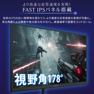 MAXZEN MGM25IC02 [24.5型 ゲーミング液晶モニター] | 激安の