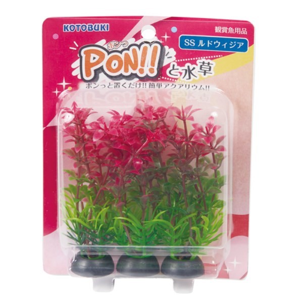 RguLH| PON-SS hBWA