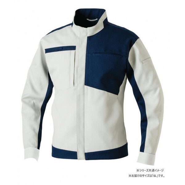 �K�a 9522-00 �����u���]�� 6L�T�C�Y �V���o�[�O���[(22) SOWA