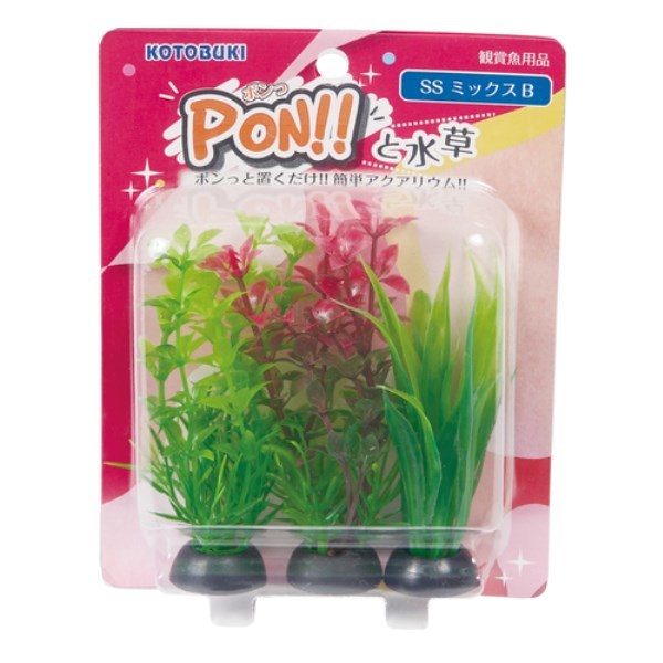RguLH| PON-SS ~bNXB