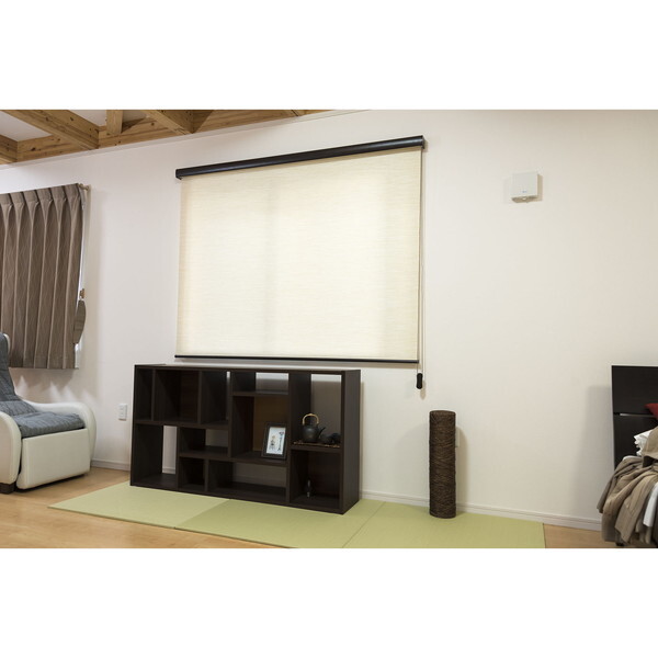 Fullness L3551 RS�G�N�V�� 165X220 NBE �i�`�������x�[�W�� [�J�o�[�t���[���X�N���[�� �V�R�� 165×220cm]