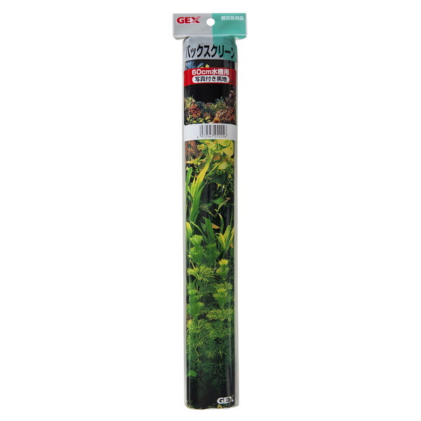 WFbNX GX[11 obNXN[60ʐ^tn