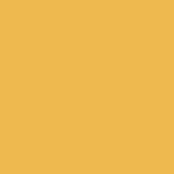 アサヒペン 油性スーパーコート 10L シトラスイエロー [油性塗料] 激安の新品・型落ち・アウトレット 家電 通販 XPRICE  エクスプライス (旧 PREMOA プレモア)