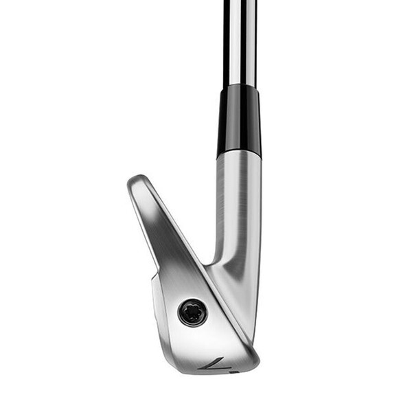 TaylorMade P770 アイアンセット 5〜PW 6本 セット売り 【公式通販】