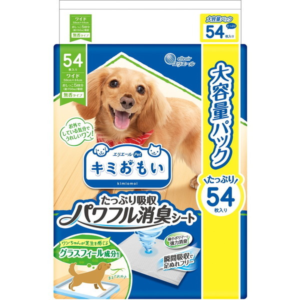 剤 L~ ptLV[g Ch 54