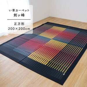 カーペット・ラグ