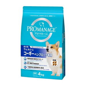 犬用フード