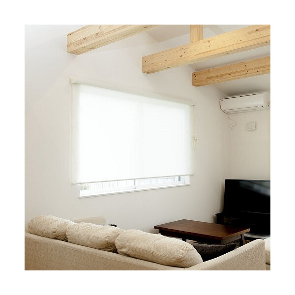 Fullness L3564 RSGNV 180X220 F OW hItzCg [Jo[t[XN[ hn^Cv 180×220cm]