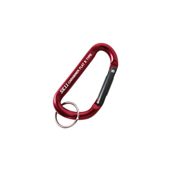 SK11 �A���~�J���r�i B SAC-550B���b�h