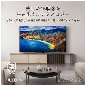 Hisense 55U8FG [55V型 地上・BS・110度CSデジタル 4Kチューナー内蔵