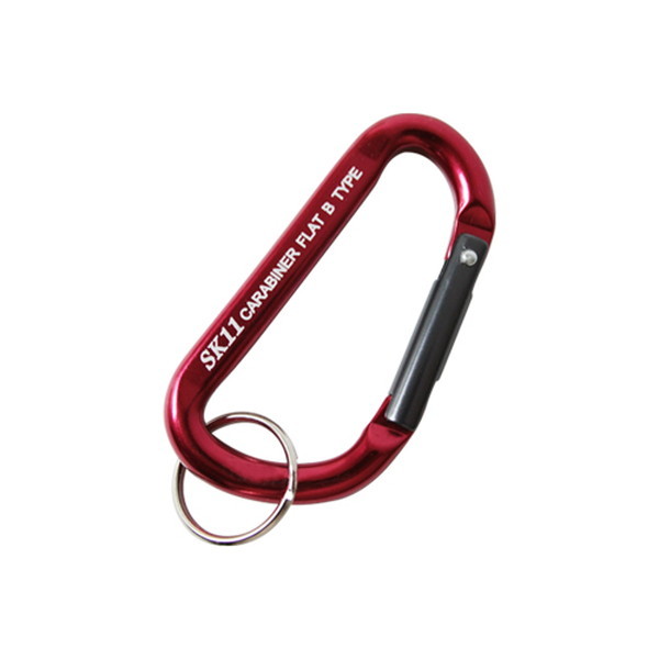 SK11 A~Jri B SAC-660B bh