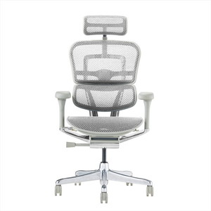 Ergohuman EHP2-HAM-GF-WH グレーフレーム×ホワイトメッシュ PRO2 High Type [ハイタイプ 高機能オフィスチェア ヘッドレスト付き]