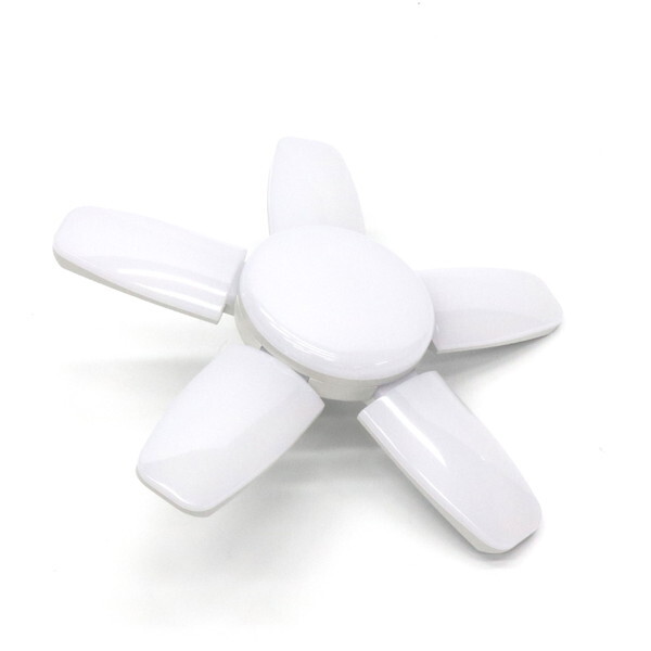 qR[|[V V[OCg5H FS-581