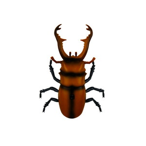 その他ラジコン