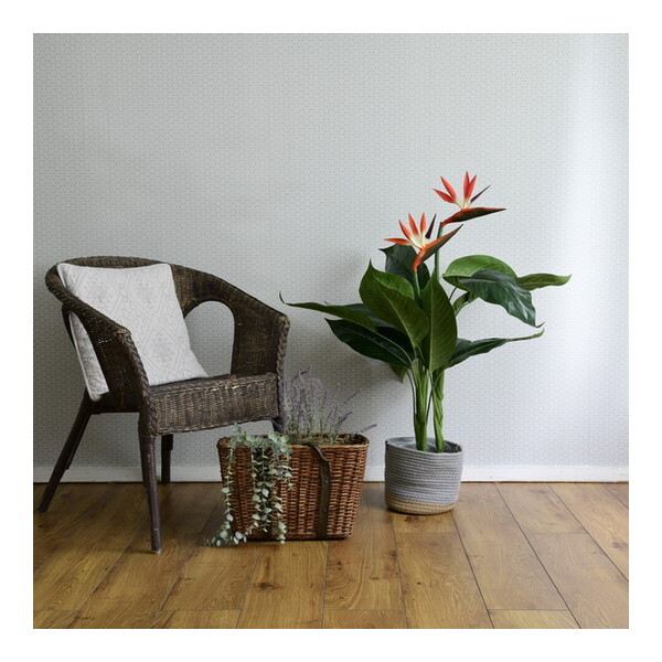 RP tFCNO[ Xg`A 100cmFG-STLE100