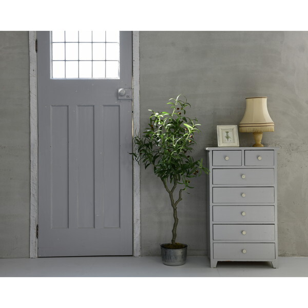 オリーブの木 芸術的バスケット 存在するだけで癒される 約34cm