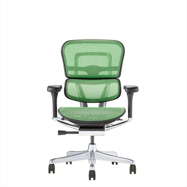 Ergohuman EHP2-LAM-BF-GN ubNt[×O[bV PRO2 Low Type [[^Cv @\ItBX`FA]