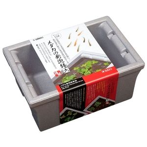 水槽・アクアリウム