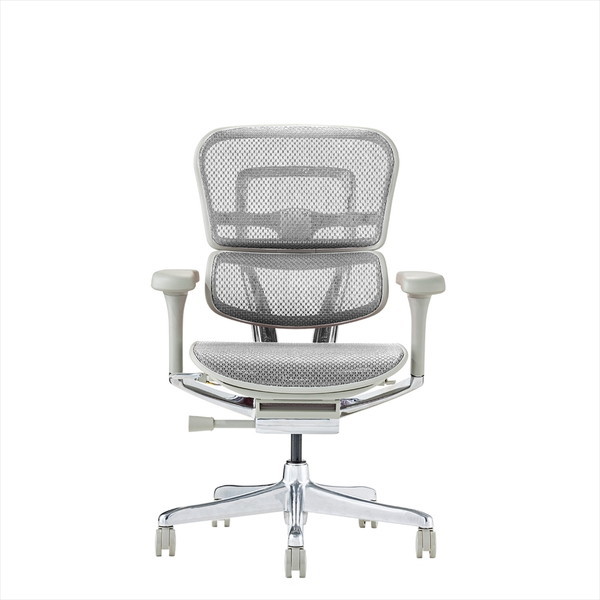 Ergohuman EHP2-LAM-GF-WH �O���[�t���[��×�z���C�g���b�V�� PRO2 Low Type [���[�^�C�v ���@�\�I�t�B�X�`�F�A]