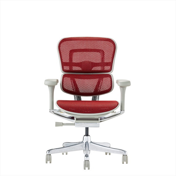 Ergohuman EHP2-LAM-GF-RD �O���[�t���[��×���b�h���b�V�� PRO2 Low Type [���[�^�C�v ���@�\�I�t�B�X�`�F�A]