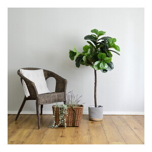 造花・人工観葉植物