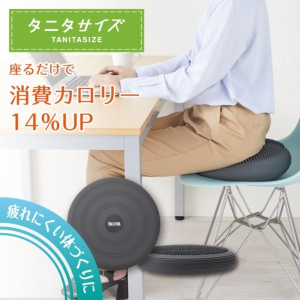 バランスボード クッション」の人気商品一覧 | 安い商品を通販サイト
