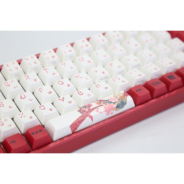 アミロ vm-ma73-a039-jasmine Koi [ゲーミングキーボード(英語配列73キー / テンキーレス / Fnキーレス /USB  /有線)] | 激安の新品・型落ち・アウトレット 家電 通販 XPRICE - エクスプライス (旧 PREMOA - プレモア)