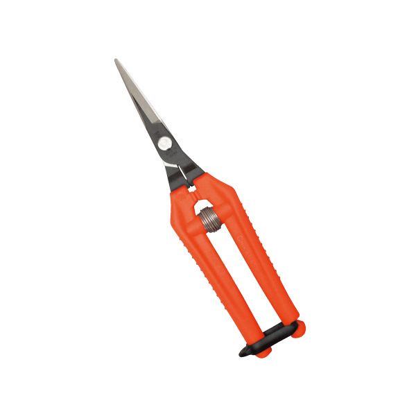�ߐ� �ߐ� TP-530 �E���g�����C�g [���|�p�͂���]