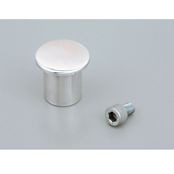 デイトナ D97062 [ハンドルポストキャップ (SR400/500：1994/6～2008年