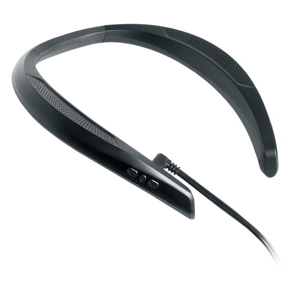 ���C�\�� KAYWS-010B �u���b�N [���ɂ�����X�s�[�J�[]