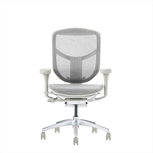 Ergohuman EJ2-LAM-GF-WH �O���[�t���[��×�z���C�g���b�V�� ENJOY2 Low Type [���[�^�C�v ���@�\�I�t�B�X�`�F�A]