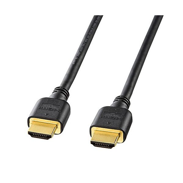 (まとめ)サンワサプライ HDMI-DVIケーブル(2m) KM-HD21-20〔×2セット〕 SANWA SUPPLY HDMI延長ケーブル 2m（KM-HD20-UEN20） : サンワ