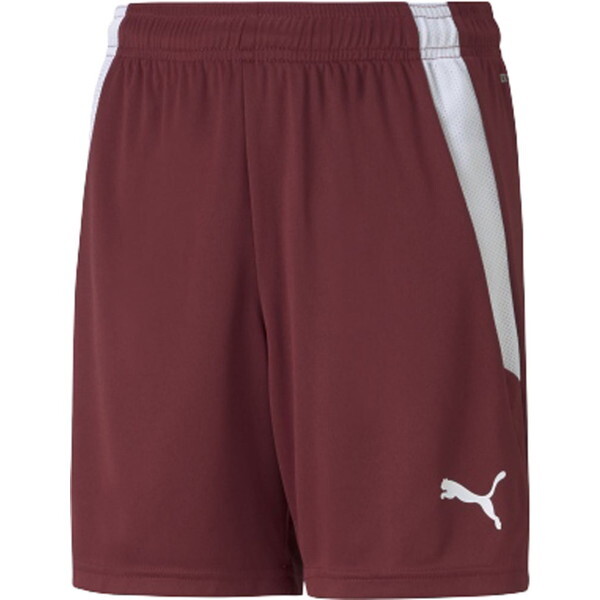 PUMA �v�[�} �T�b�J�[�p���c TEAMLIGA �Q�[���p���c �p�[�v�� 140cm 705145 09